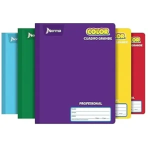 CUADERNO COLLEGE COSIDO C7 100 HJS NORMA COLOR