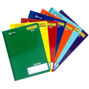 CUADERNO COLLEGE COSIDO RAYA 100 HJS NORMA COLOR