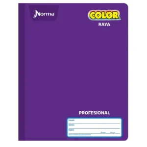 CUADERNO PROFESIONAL COSIDO RAYA C/100 HJS NORMA COLOR
