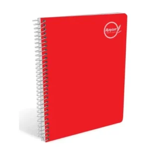 CUADERNO PROFESIONAL D/ESPIRAL C5 C/100 HJS RAYTER