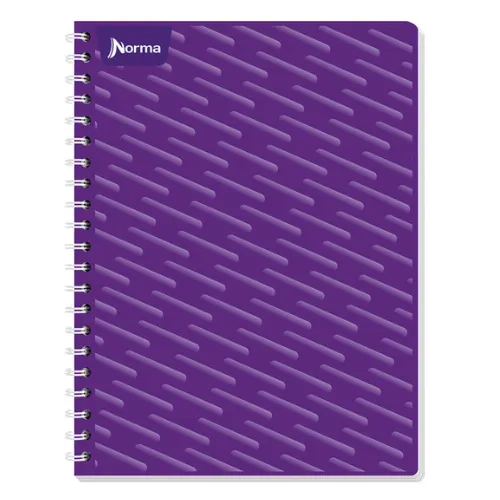 CUADERNO PROFESIONAL D/ESPIRAL RAYA C/200 HJS NORMA