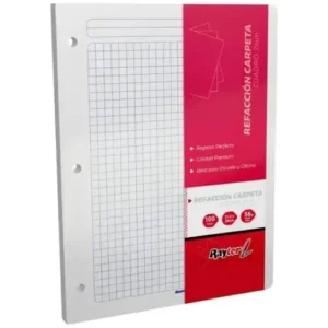 HOJAS DE REPUESTO P/CARPETA T/CARTA BLANCO C/100 HJS RAYTER