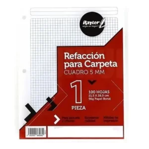 HOJAS DE REPUESTO P/CARPETA T/CARTA C5 C/100 HJS RAYTER