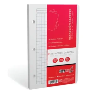 HOJAS DE REPUESTO P/CARPETA T/ESQUELA C5 C/100 HJS RAYTER